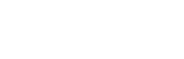 Experience Brampton